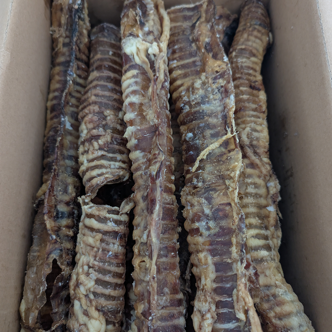 Buffalo Trachea - Image 2