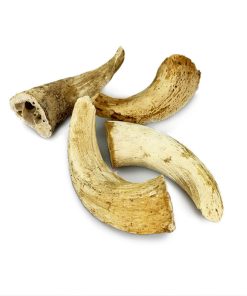 Lamb Horn Marrow Bone - Single