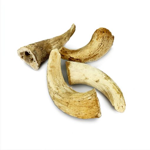 Lamb Horn Marrow Bone - Single