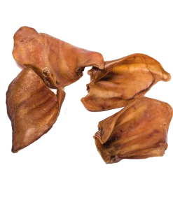 Pig Ear - Single