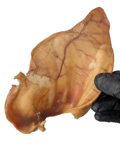 Pigs Ears