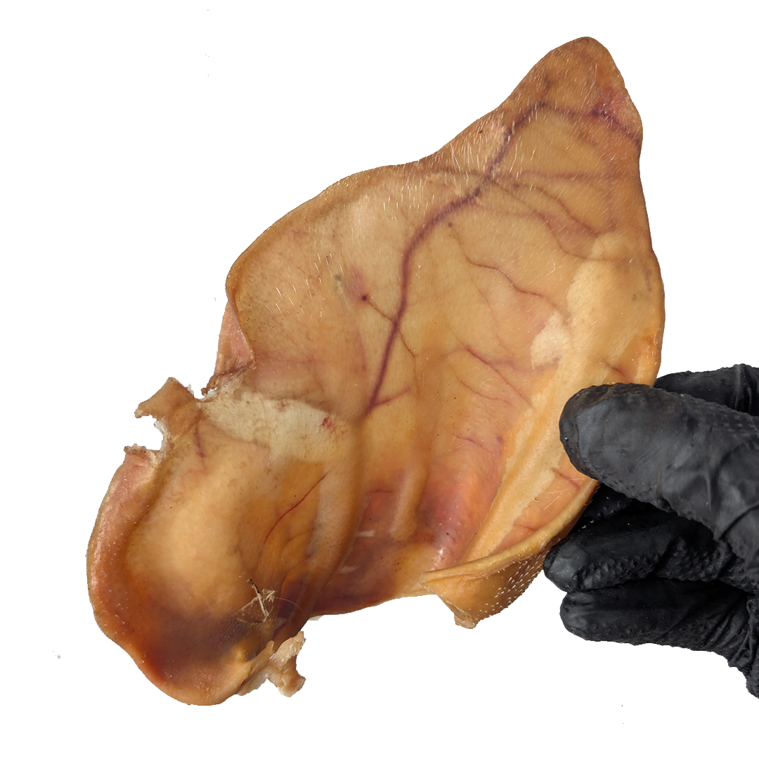 Pigs Ears