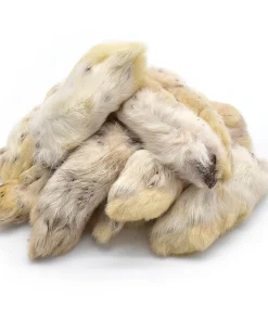 Rabbit Feet - Single