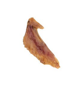 Turkey Wing